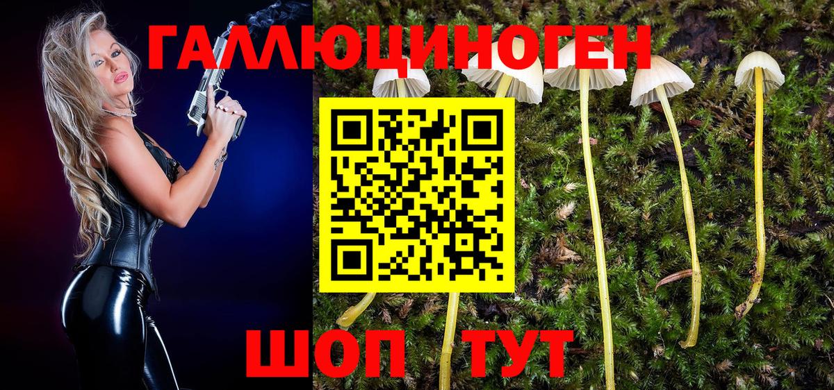 Галлюциногенные грибы Psilocybine cubensis  Вход с VPN  Моздок 
